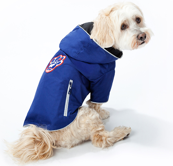 Win! A Canada Pooch Jacket For Your Pooch! 